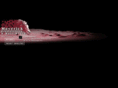 maverickmultimedia.com