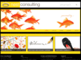 nestconsultingltd.com