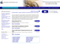 rochestercarpetcleaners.net