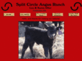 splitcircleangus.com