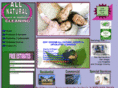 all-naturalcleaning.com