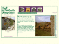 castlefireplaces.com
