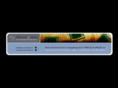 cogniamstudio.com
