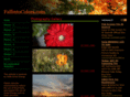 fallintocolors.com