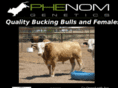 phenomgenetics.com