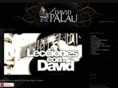 davidpalau.com