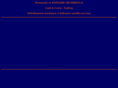 divisioneinformatica.com