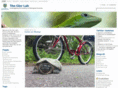 lacertilia.com