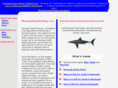 montauksharkfishing.com