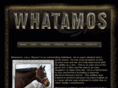 whatamos.com