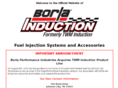 borlainduction.com