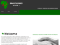 gforceafrica.com