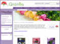 qronfla.com