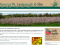 saulpaughapples.com