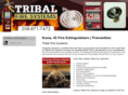 tribalfiresystemstwinfalls.com