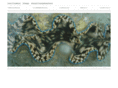 victoriapike.com