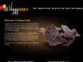 viggyjerky.com