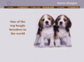 alamobeagles.com