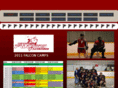 falconslacrosse.net