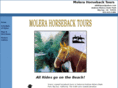 molerahorsebacktours.com