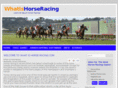 whatishorseracing.com