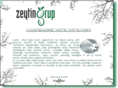zeytingrup.com