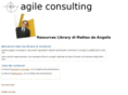 agile-consulting.net