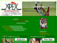 apex-agc.com