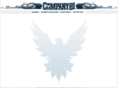 company81.com
