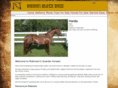 robinsonsquarterhorses.com