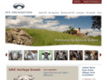 svffoundation.org