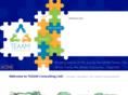 teaamconsulting.com