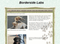 bordersidelabs.com