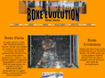 boxeevolution.net