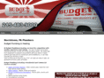 budgetplumbingheatingpa.com