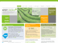conversion-rate-optimierung.com