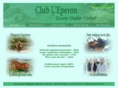 club-leperon.com