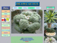 deawcactus.com