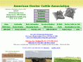 dextercattle.org