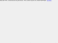 texastige.com