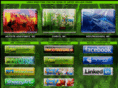 1fla.com
