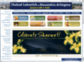 chabadarlington.org