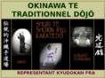 okinawa-te.org