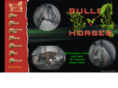 bulls-n-horses.com