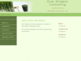 everdiligentconsulting.com