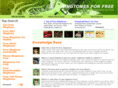 free-ringtonedownloads.com