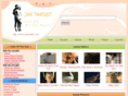 joytonight.com