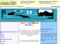 buythatbizonline.com