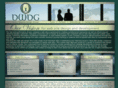 dallaswebsitedesigngroup.com