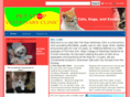 petstopvet.com